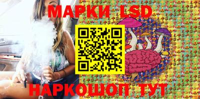 шишки Нарткала
