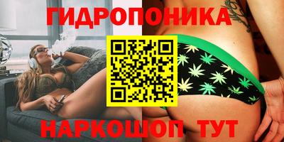 шишки Нарткала