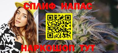 шишки Нарткала