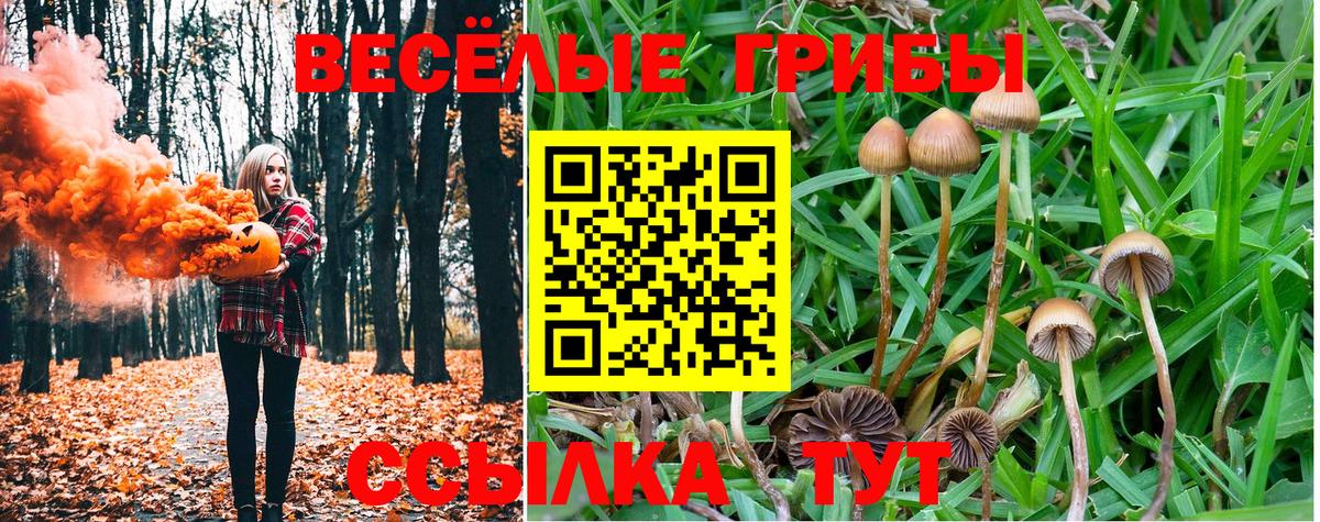 Псилоцибиновые грибы MAGIC MUSHROOMS Уварово