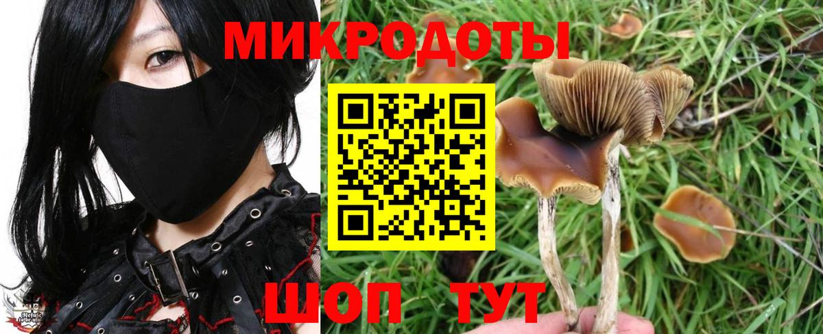 Галлюциногенные грибы мицелий  где купить наркотик  Уварово  Вход с VPN 